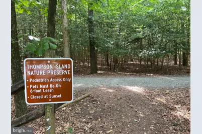 20884 Spring Lake Drive #316, Rehoboth Beach, DE 19971 - Photo 36