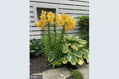 7 W Essex Street, Fenwick Island, DE 19944 - Photo 92