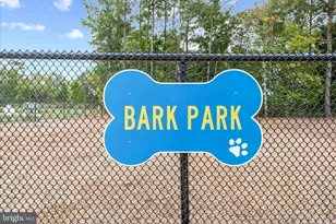 26119 Tributary Blvd, Millsboro, DE 19966 - Photo 96