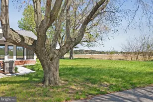 26854 Broadkill Rd, Milton, DE 19968 - Photo 12