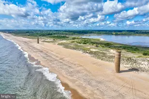 115 Cornwall Rd, Rehoboth Beach, DE 19971 - Photo 96