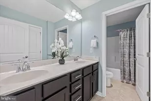 32198 Ivory Gull Wy, Millsboro, DE 19966 - Photo 48