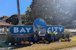 33501 Grape St, Millsboro, DE 19966 - Photo 26