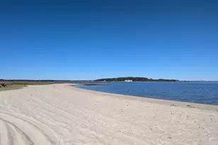 33501 Grape St, Millsboro, DE 19966 - Photo 34