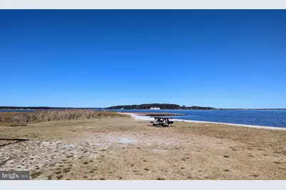 33501 Grape Street, Millsboro, DE 19966 - Photo 36