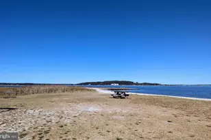 33501 Grape St, Millsboro, DE 19966 - Photo 36