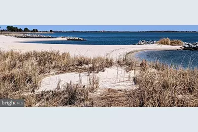 33501 Grape Street, Millsboro, DE 19966 - Photo 30