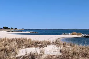 33501 Grape St, Millsboro, DE 19966 - Photo 30