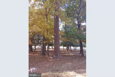 5 and 7 Woodland Avenue, Ocean View, DE 19970 - Photo 10