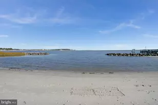 22106 S Preservation Dr, Millsboro, DE 19966 - Photo 98