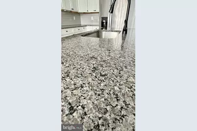 38057 Pine Needle Lane, Frankford, DE 19945 - Photo 8