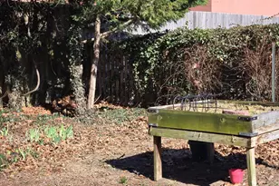 125 School Pl, Milford, DE 19963 - Photo 56