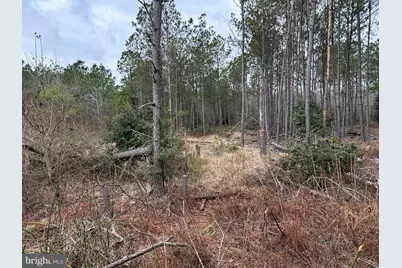 0 Owens Road, Greenwood, DE 19950 - Photo 10