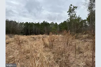 0 Owens Road, Greenwood, DE 19950 - Photo 8