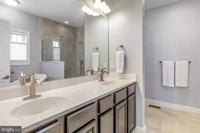 21230 Treeview Lane, Millsboro, DE 19966 - Photo 74