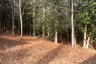 26120 Ohnmacht Ln, Georgetown, DE 19947 - Photo 14