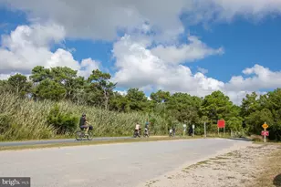 35959 Jake Dr, Rehoboth Beach, DE 19971 - Photo 68