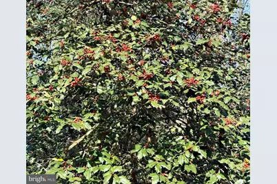 0 Utica Road #PARCEL 4, Greenwood, DE 19950 - Photo 14