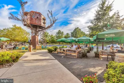 15384 Crape Myrtle Road, Milton, DE 19968 - Photo 70