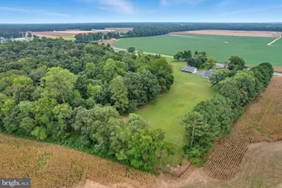 10463 Beach Highway, Greenwood, DE 19950 - Photo 56