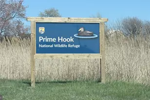 341 Bay Ave, Milford, DE 19963 - Photo 46