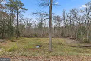 31915 Elizabeth Dr, Dagsboro, DE 19939 - Photo 76