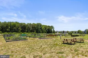 31569 Gooseberry Way, Lewes, DE 19958 - Photo 82