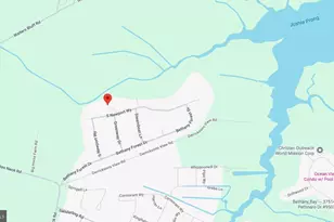 125 S Newport Wy, Dagsboro, DE 19939 - Photo 60