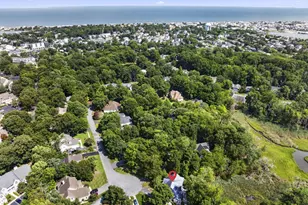 19 Holly Ridge, Rehoboth Beach, DE 19971 - Photo 78