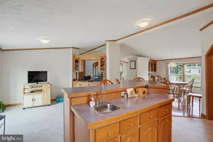 27657 Dunstan Ct, Milton, DE 19968 - Photo 12