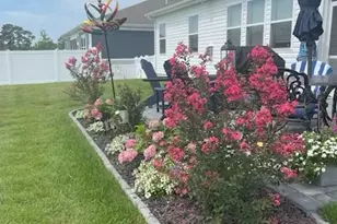 34224 Skyflower Loop, Lewes, DE 19958 - Photo 2
