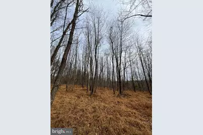 6468-B General Drive #WALBERT, Mount Airy, MD 21771 - Photo 12