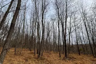 6468-B General Dr, Mount Airy, MD 21771 - Photo 12