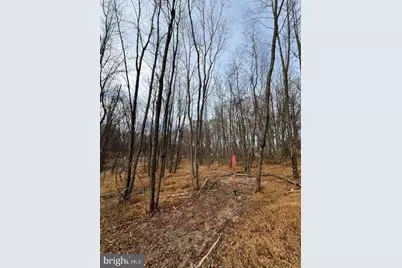 6468-C General Drive #MILLBROOKE, Mount Airy, MD 21771 - Photo 6