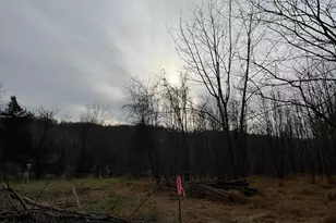 6452 General Dr, Mount Airy, MD 21771 - Photo 14