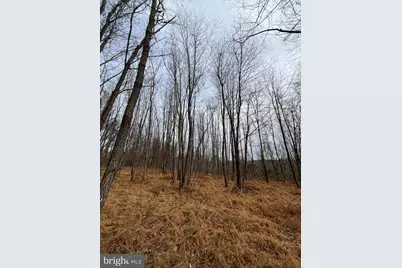 6460-C General Drive #MANOR, Mount Airy, MD 21771 - Photo 8