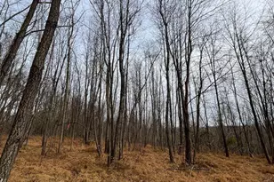 6460-C General Dr, Mount Airy, MD 21771 - Photo 8