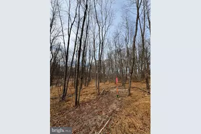 6460-C General Drive #MANOR, Mount Airy, MD 21771 - Photo 6