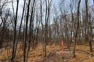 6460-C General Dr, Mount Airy, MD 21771 - Photo 6