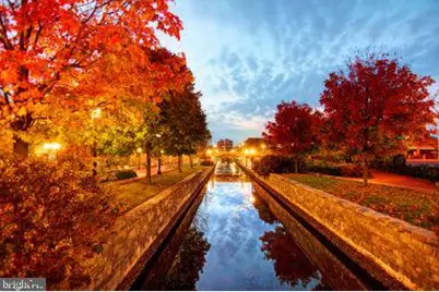 317 W College Terrace, Frederick, MD 21701 - Photo 98