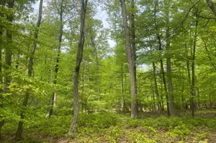 4740 Ford Fields Rd, Myersville, MD 21773 - Photo 114