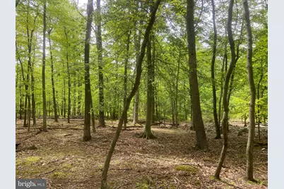 4740 Ford Fields Road, Myersville, MD 21773 - Photo 110