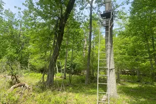 4740 Ford Fields Rd, Myersville, MD 21773 - Photo 108