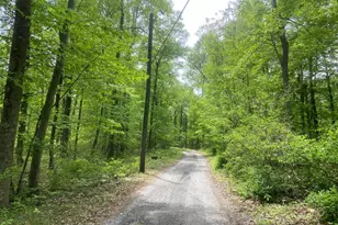 4740 Ford Fields Rd, Myersville, MD 21773 - Photo 44