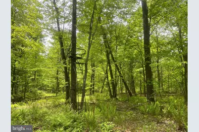 4740 Ford Fields Road, Myersville, MD 21773 - Photo 118