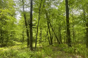 4740 Ford Fields Rd, Myersville, MD 21773 - Photo 118