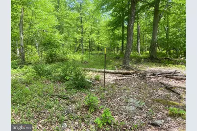 4740 Ford Fields Road, Myersville, MD 21773 - Photo 124