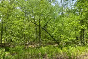 4740 Ford Fields Rd, Myersville, MD 21773 - Photo 116