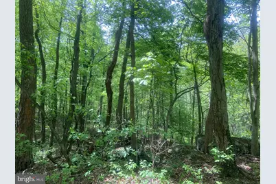 4740 Ford Fields Road, Myersville, MD 21773 - Photo 132