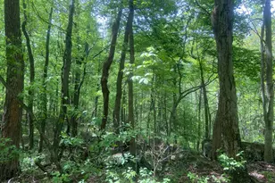 4740 Ford Fields Rd, Myersville, MD 21773 - Photo 132